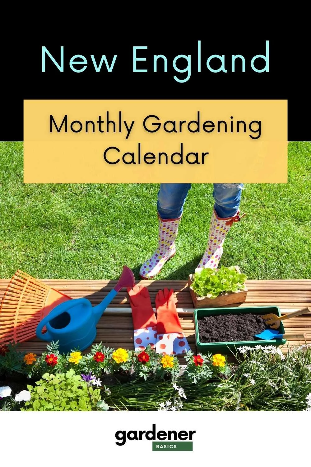 Garden Tasks You Should Be Doing Each Month in New England — Gardening
